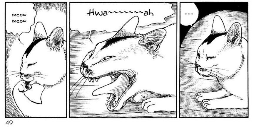 from junji ito’s cat diary